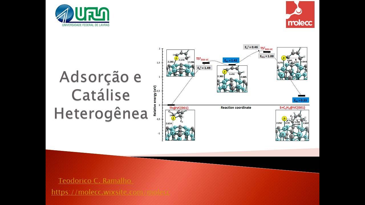 Adsorção e Catálise Heterogêne