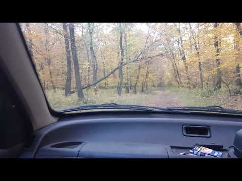 Padurea Calarasi Bogata cluj