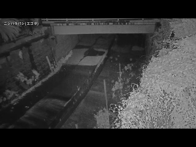 西原橋映像監視局