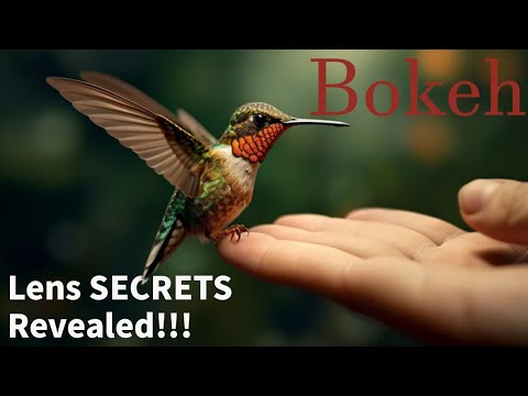 7 Ways to Bokeh. The 85 F1.8 Vs 800 F11. Using Lens EXTREMES to get a Pro Understanding.