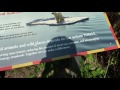 Detroit Zoo Pt 5