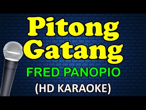PITONG GATANG - Fred Panopio (HD Karaoke)