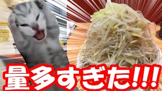 【猫ミーム】ラーメン二郎での事件【二郎系ラーメン】