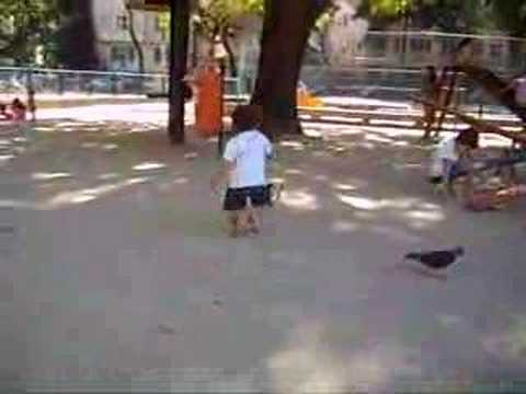 Tito Amado no Bairro Peixoto