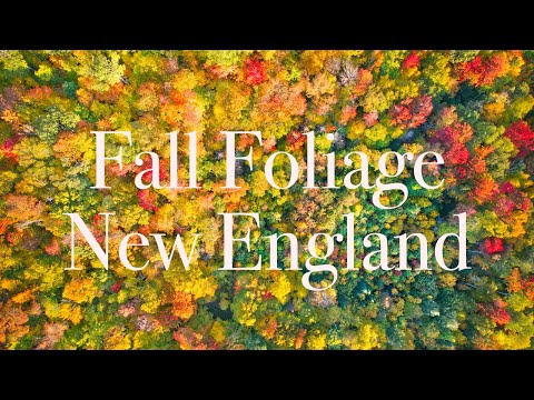 Fall Foliage New England 4K 2021