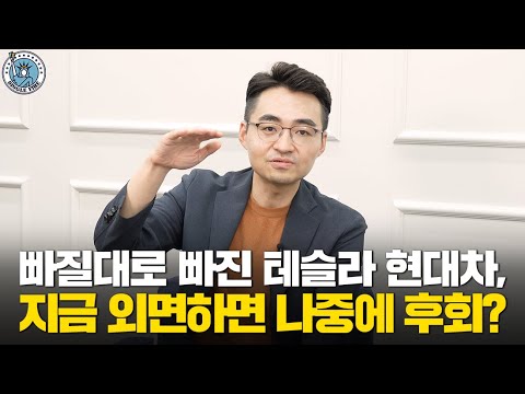 [싱글파이어] 빠질대로 빠진 테슬라·현대차, 지금 외면하면 나중에 후회한다?