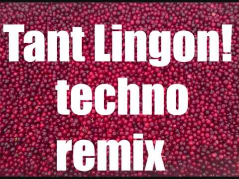 Tant Lingon Techno remix