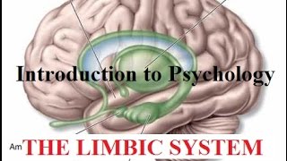 Introduction to Psychology | The Limbic System