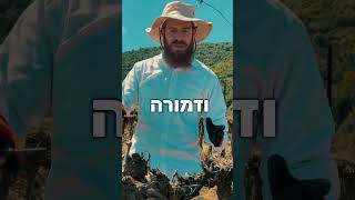 צילום נופים אוויריים