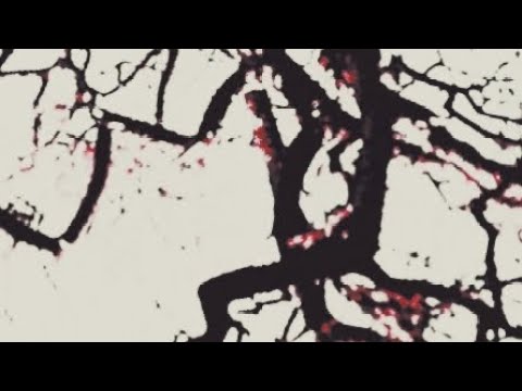 @Cat @yates @gurudev