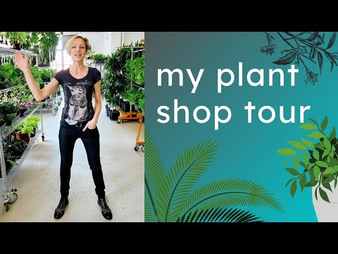 My NYC Plant Shop I Behind The Scenes I Houseplant Tour
