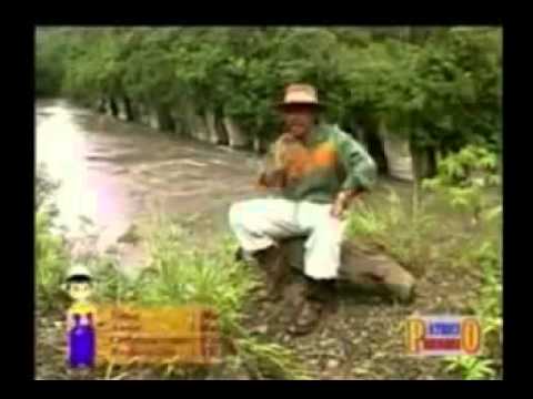 Maruja - Bayron Caicedo