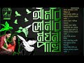 Amar Sonar Moyna Pakhi ( Lofi Remix ) আমার সোনার ময়না পাখি | Saif Zohan | Bangla Ne