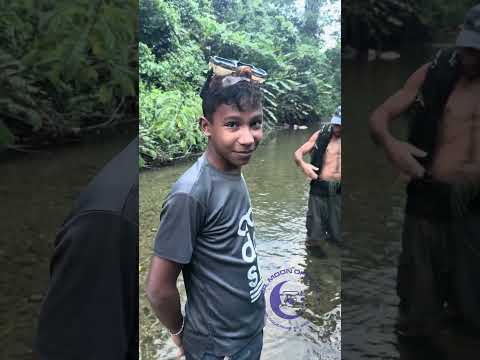 Pesca Artesanal en el Río de San Miguel en el Estado Monagas.Conoces algunos de estos peces.#turismo