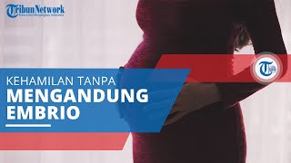 Blighted Ovum, Kehamilan yang Tidak Mengandung Embrio Meski Terjadi Pembuahan