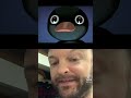 Pingu Remembers
