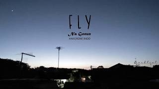 Na Goeun (나고은) – Fly (날아) (HAN/ROM/INDO Lyrics/가사)