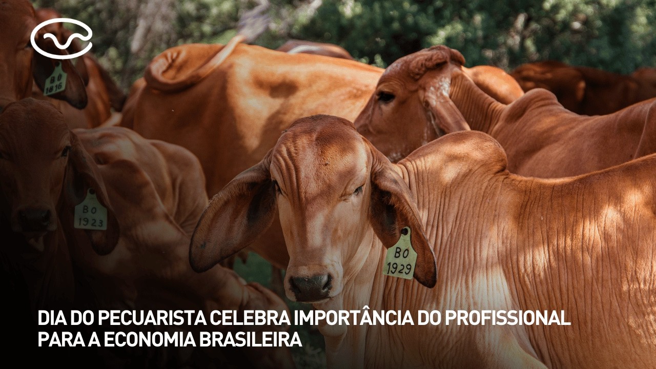 Dia do Pecuarista celebra importância do profissional para a economia brasileira