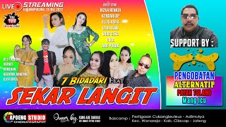 Download lagu SEKAR LANGIT Live Perfom feat 7 Bidadari mp3 Download lagu SEKAR LANGIT Live Perfom feat 7 Bidadari mp3