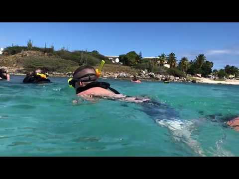 2nd YouTube video about are there sharks in aruba