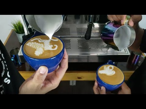 Play Video Youtube Video