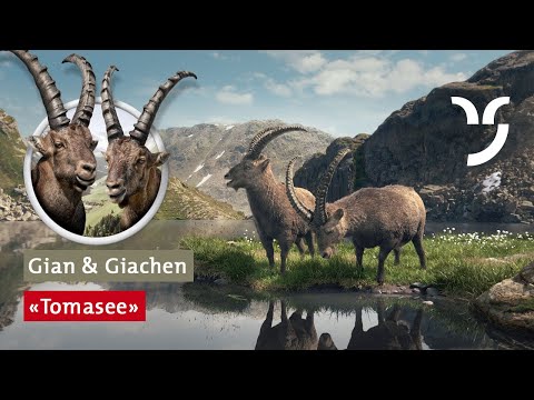 Gian und Giachen: „Tomasee“