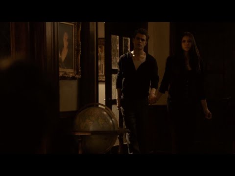 TVD 1x20 - Elena convinced Stefan not to kill himself | Delena Scenes HD