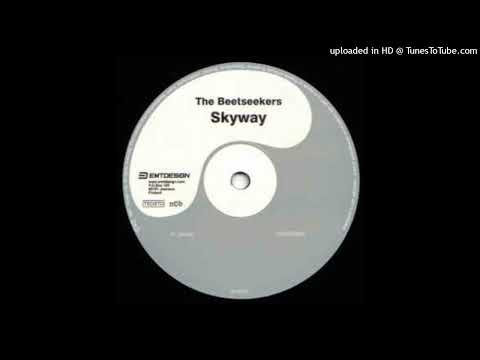 Beetseekers - Skyway