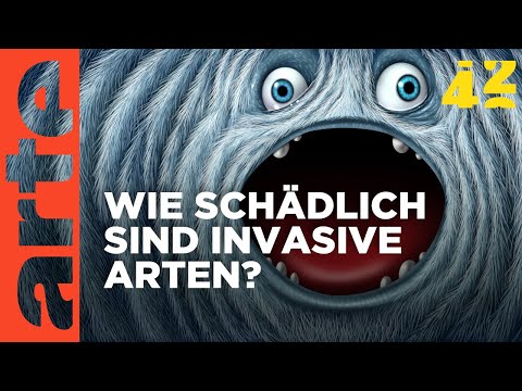 Video Thumbnail: Sind invasive Arten besser als ihr Ruf? | 42 - Die Antwort auf fast alles | ARTE