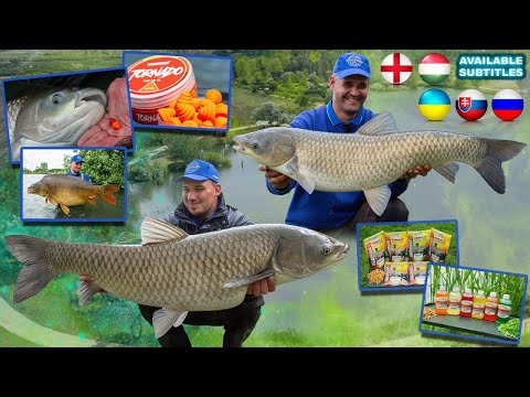 Nyári feederes kalandok 5. rész - Mátravíz amurjai