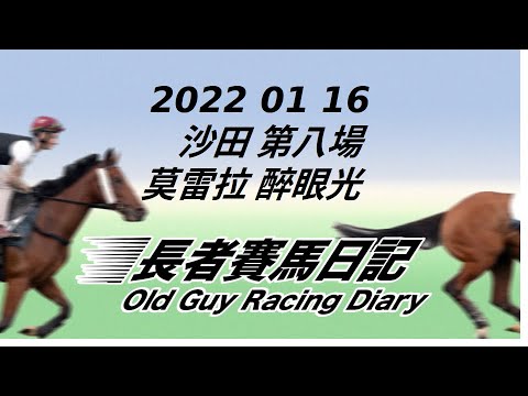 2022 01 16 沙田 第八場 莫雷拉 醉眼光