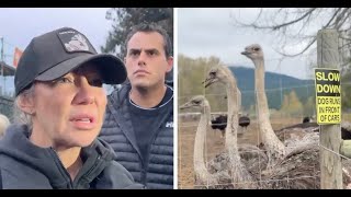 LIVE: Supreme Court approves CFIA’s mass killing of healthy ostriches, Drea Humphrey on the ground