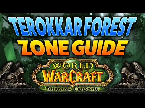 Trial of the Naaru: Tenacity | Burning Crusade Guide #Warcraft #Gaming #MMO #魔兽