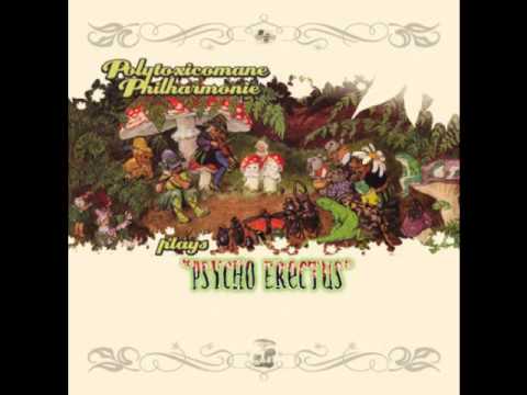 Polytoxicomane Philharmonie - Too Sad, Lady Mushroom