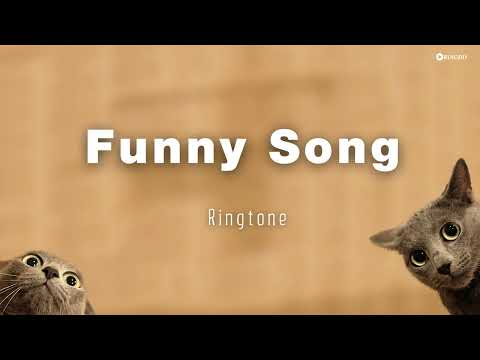 Funny Song Ringtone | Ringdd