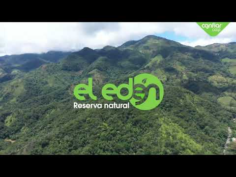 Imágenes aéreas Reserva natural EL EDÉN - Confiar Cooperativa Financiera.