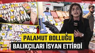 Palamut Bolluğu Balıkçıları İsyan Ettirdi! İstanbul'da Balık Fiyatları Nasıl? - 