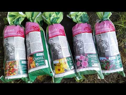 Deci la asa preț,,nu se putea sa nu luam # #rabapordany#rose#viralvideo ##fypシ゚viral #fy #flori