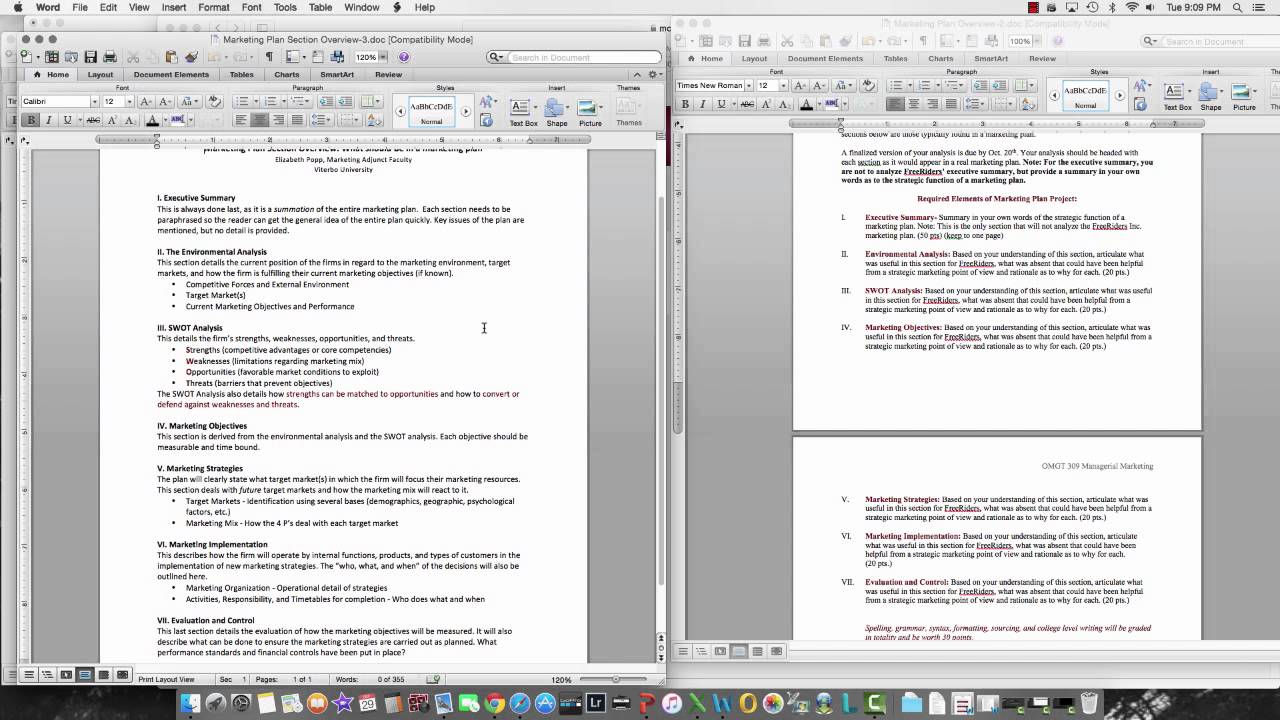 Marketing Plan - Final Paper