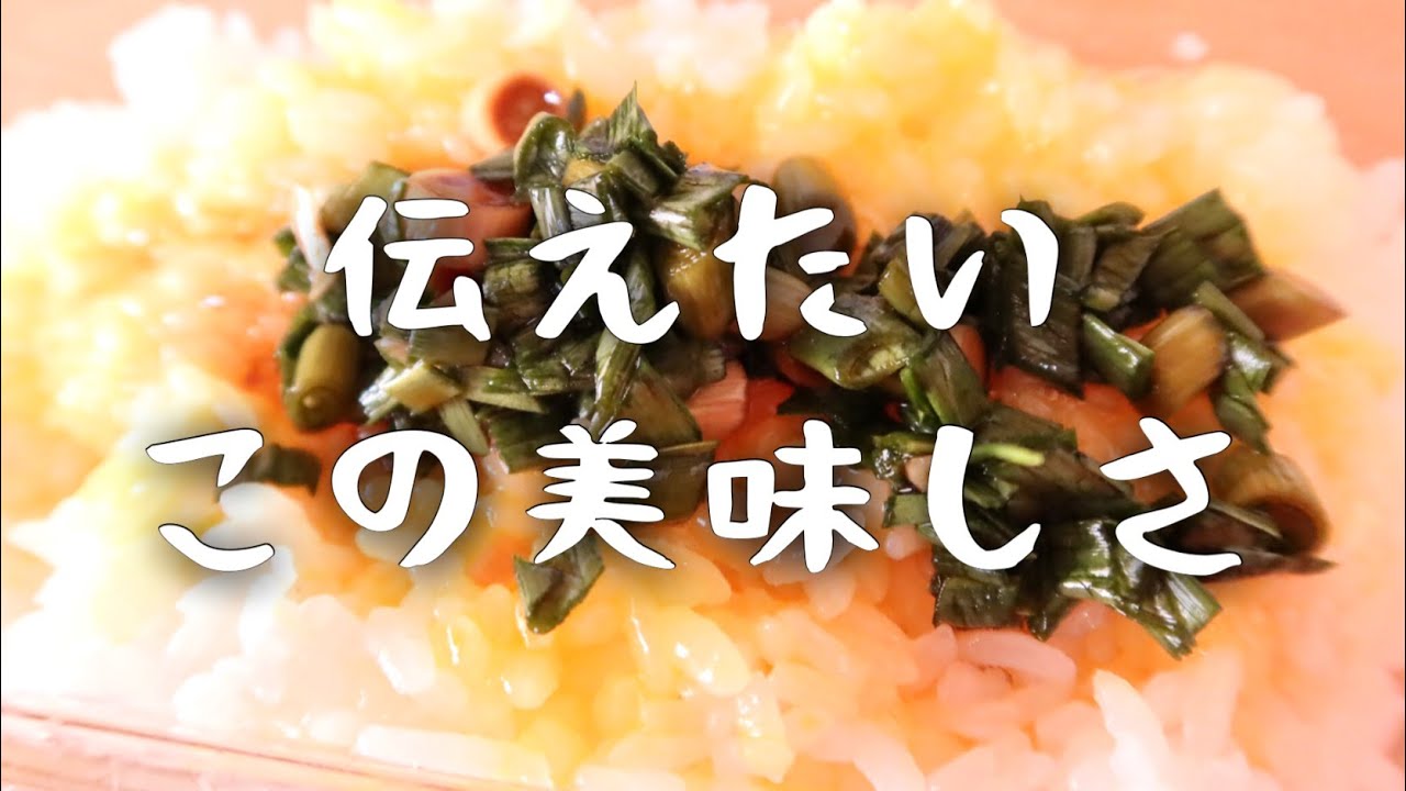 久しぶりに動画を撮りました