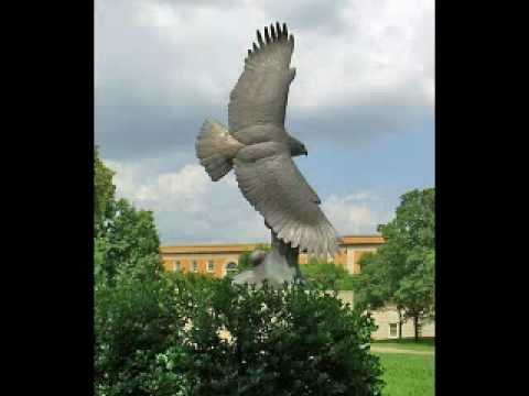 The Funky Butts - Denton Town (2010)