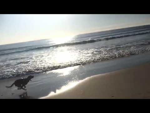 Marni chasing ball on the beach