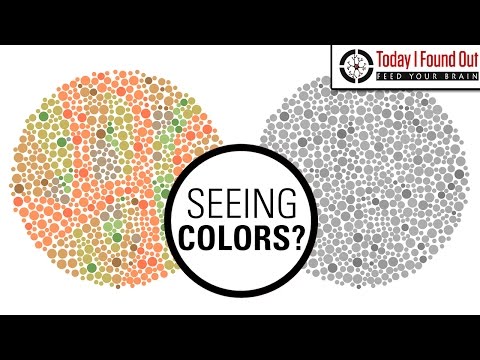 Can Color Blind People See More Colors When They Take Hallucinogenic Drugs?