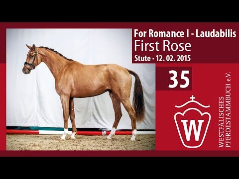 35 First Rose Stute v. For Romance I - Laudabilis