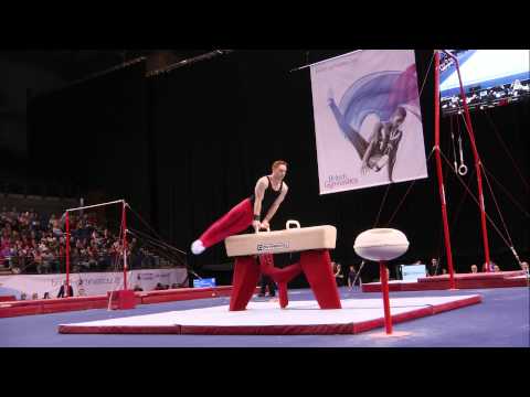 DANIEL PURVIS - POMMEL - 2013 British Champs - AA