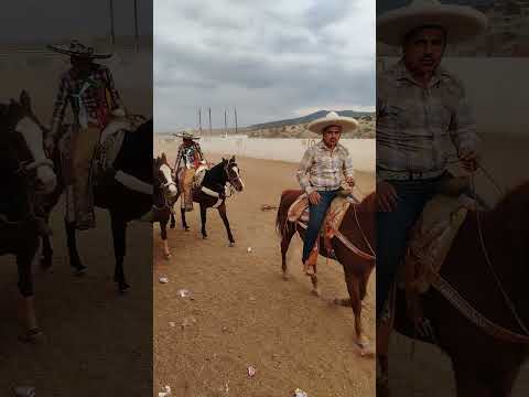 tradicional coleadero de socios en pastores, Valparaíso, Zacatecas.
