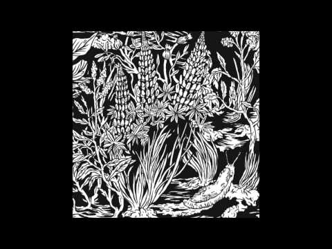 download lagu mp3 mp4 Wild Strawberries Eternal Tapestry, download lagu Wild Strawberries Eternal Tapestry gratis, unduh video klip Wild Strawberries Eternal Tapestry