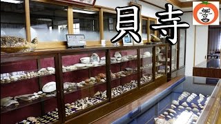 preview picture of video '南紀白浜 貝寺 大信山 本覚寺 【 うろうろ和歌山 】 和歌山県 西牟婁郡 shell conch shellworks museum Shirahama Onsen'