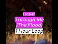 Hozier - Through Me (The Flood)  1 HOUR