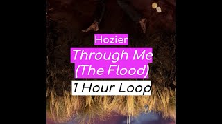 Hozier - Through Me (The Flood)  1 HOUR